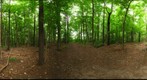 Dairy Bush GigaPan - 149 – July 04 2012 