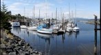 Wharf in CampbellRiver