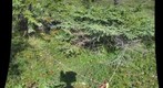 120717 - Arctic Ecology - Churchill Manitoba - Gregg2 Q5 - Kelsie