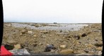 120716 - Churchill Arctic Ecology - Itheca - Amanda