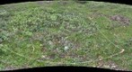 120716 - Arctic Ecology - Churchill Manitoba - Rock Bluff A Q4 - Kelsie