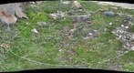 120716 - Arctic Ecology - Churchill Manitoba - Rock Bluff A Q2 - Kelsie