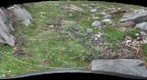120716 - Arctic Ecology - Churchill Manitoba - Rock Bluff A Q1