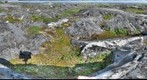 120710 - Arctic Ecology - Churchill Manitoba - CapeMarry - Elli and Dan