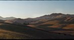 Long Shadows