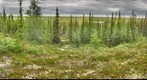 120708 - Arctic Ecology - Churchill Manitoba - Twin Lakes Moraine - Hayley & Cassie