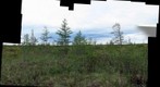 120708 - Arctic Ecology - Churchill Manitoba - Twin Lakes Fen - Darren