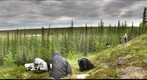 120708 - Arctic Ecology - Churchill Manitoba - Twin Lakes Moraine - Yurak