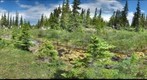120709 - Arctic Ecology - Churchill Manitoba - Ramsay Creek - Hayley & Cassie