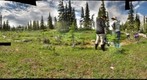 120709 - Arctic Ecology - Churchill Manitoba - Ramsay Creek - Yurak