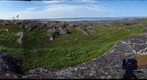 120710 - Arctic Ecology - Churchill Manitoba - Cape Merry - Steve