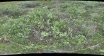 120714 - Arctic Ecology - Churchill Manitoba - Tundra Ponds Q1 - Kelsie