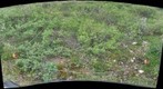 120714 - Arctic Ecology - Churchill Manitoba - Tundra Ponds Q3 - Kelsie
