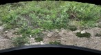 120714 - Arctic Ecology - Churchill Manitoba - Tundra Ponds Q5 - Kelsie