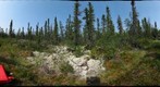 120712 - Arctic Ecology - Churchill Manitoba - Goose Creek Cabin Bog