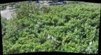 120715 - Arctic Ecology - Churchill Manitoba - Cape Merry Q3 - Kelsie