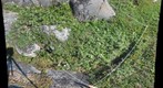 120715 - Arctic Ecology - Churchill Manitoba - Cape Merry Q4 - Kelsie