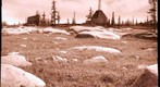 120707 - Arctic Ecology - Churchill Manitoba - CNSC - Elli and Dan