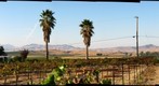 White Crane Vinyard Outside