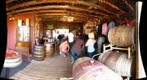 White Crane Wine Tasting