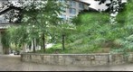 CMU Garden