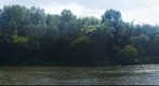 The "White" river