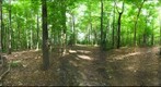 Dairy Bush GigaPan - 153 – August 01 2012 