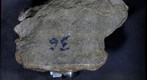 Snowball Earth Educational Rock Sample Suite 36