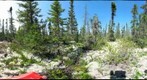 120717-Churchill Arctic Ecology-Goose Creek Bog-Amanda Quadrat