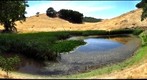 Morgan Pond