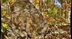Gneiss Garnets