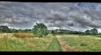 Field Panorama