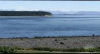 Johnson Straight from Campbell River