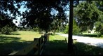 Lazy Day on Lake Lizzie Drive, rural Osceola County Florida