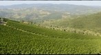 Chianti, Tuscany, Italy, © Roderik van Nispen - www.fotograaf.org