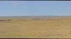 Northern Mixed Grass Prairie 2