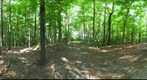 Dairy Bush GigaPan - 154 – August 08 2012 