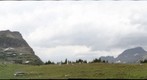 Logan Pass Goats, Glacier National Park, Montana