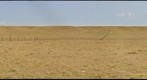 Northern Mixed Grass Prairie 4