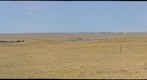 Northern Mixed Grass Prairie and Wind Farms