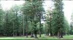 Brooktrails Golf Willits, Ca