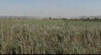 Espais naturals delta Llobregat 3