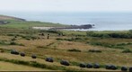 Bardsey Island / Ynys Enlli