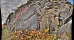 Higganum Dike