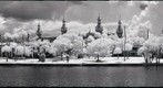 University of Tampa, Tampa, Florida