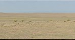Shortgrass Prairie 