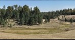 Mountain Meadow 4