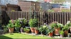Sunshine at last!