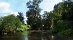 The river
