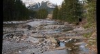 Sheep River(1) Alberta Canada
